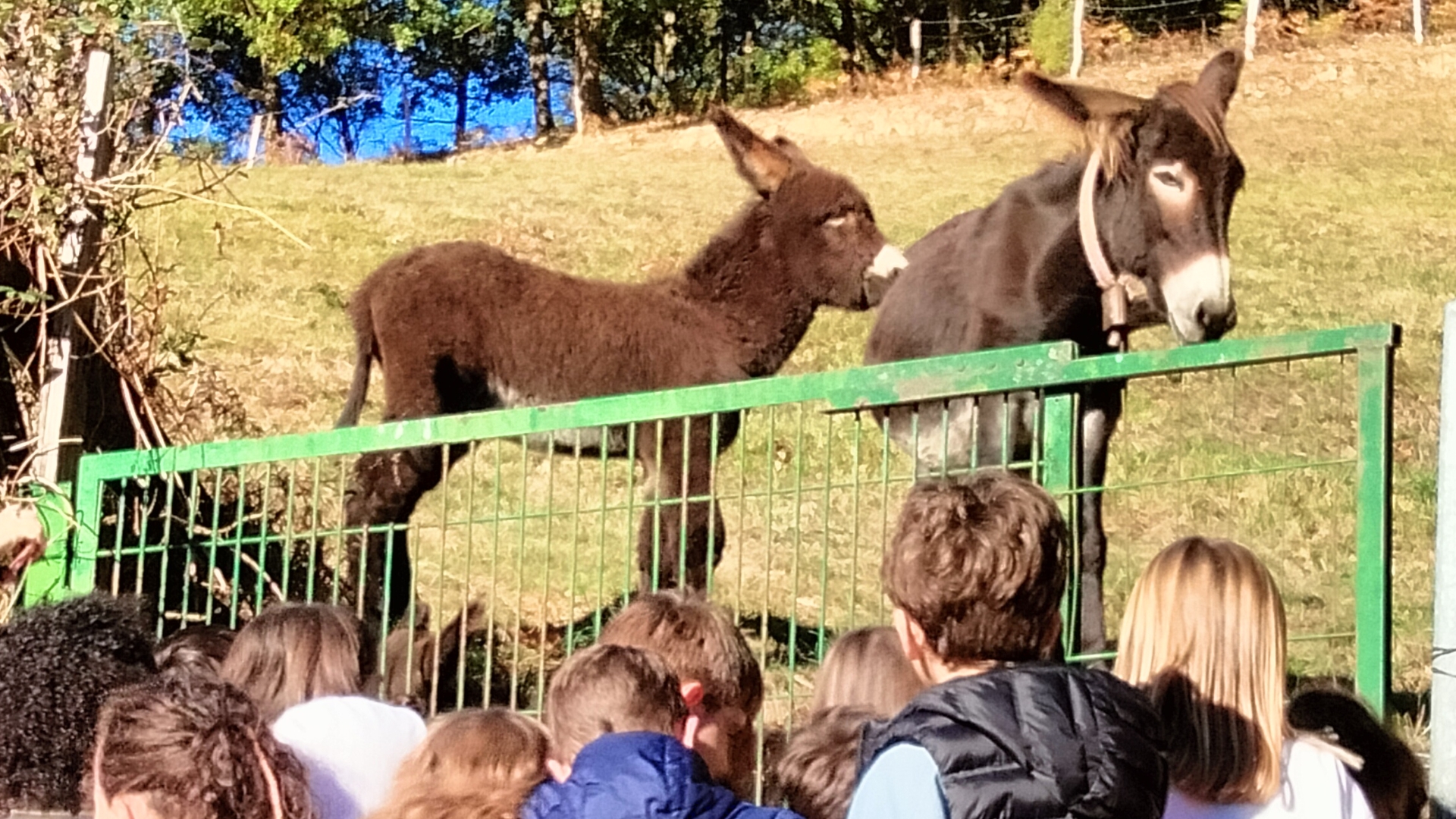 LH2koak Ikastola inguruan